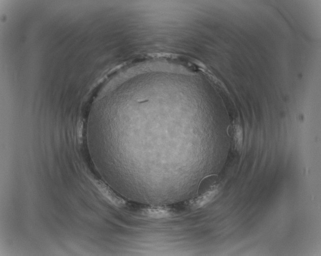 X0000080660668200612301337