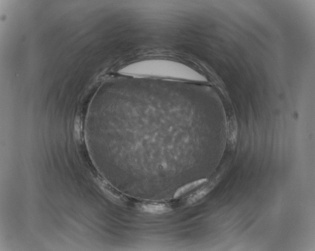 X0000080660669200612301337