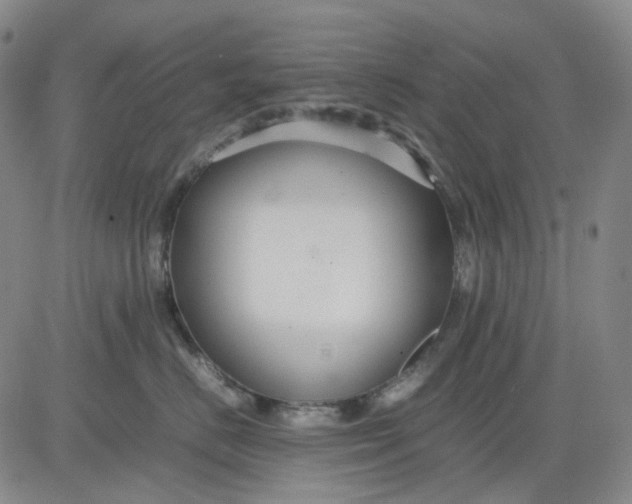 X0000080660670200612301337