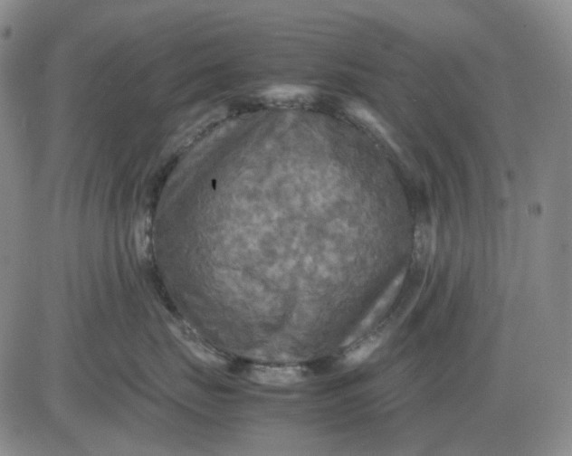 X0000080660671200612301337