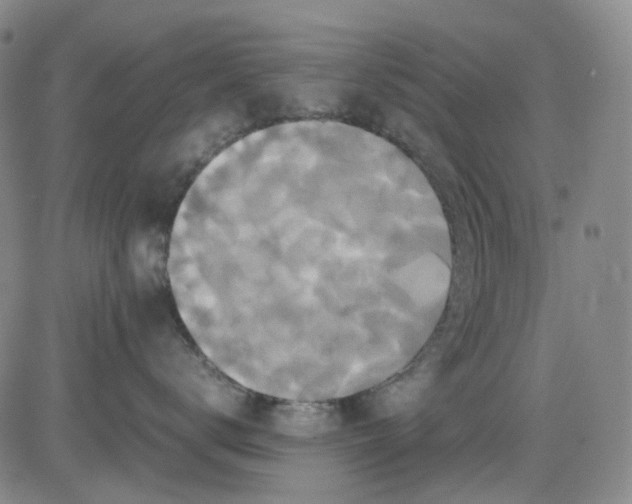 X0000080660672200612301337