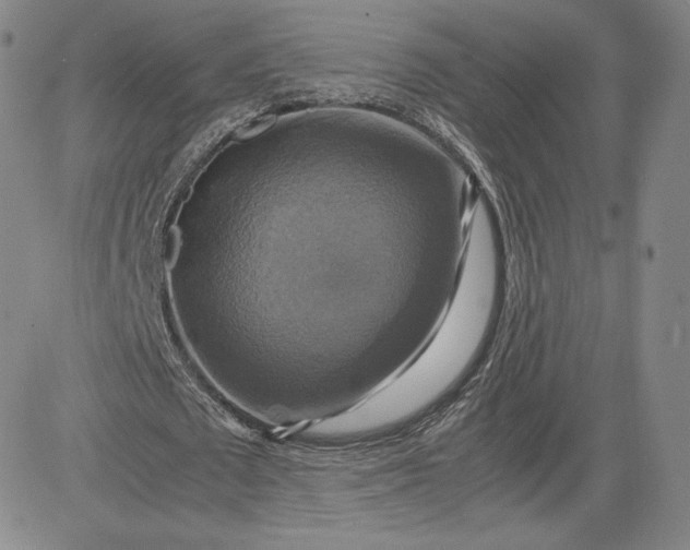 X0000080660673200612301336