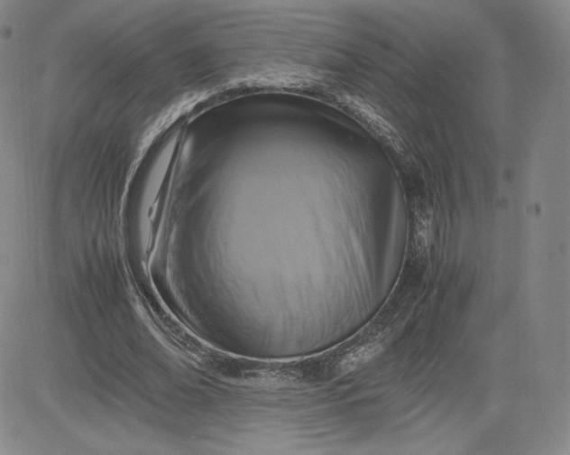 X0000080660678200612301336