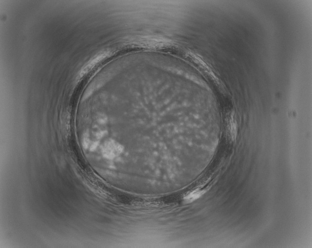 X0000080660679200612301336