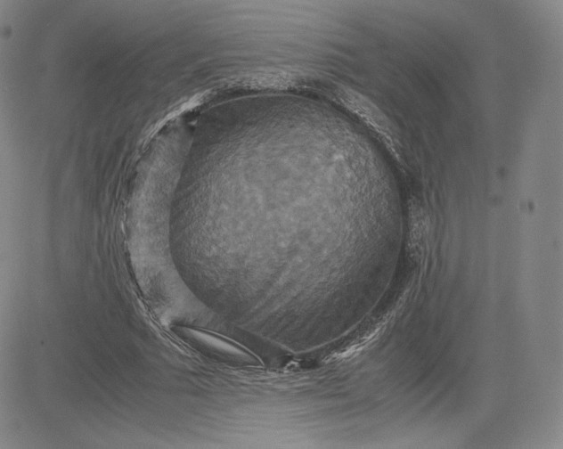 X0000080660681200612301336