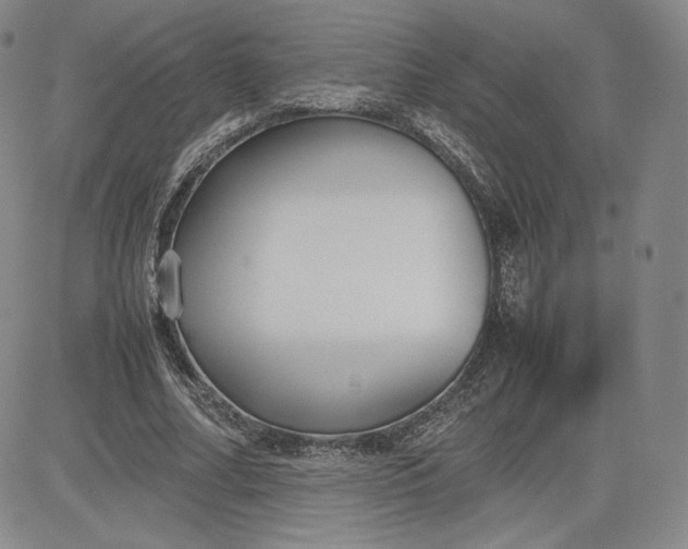 X0000080660682200612301336