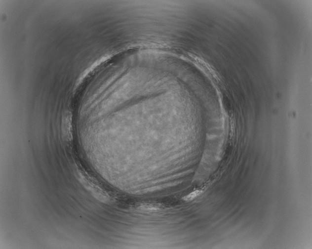 X0000080660684200612301336