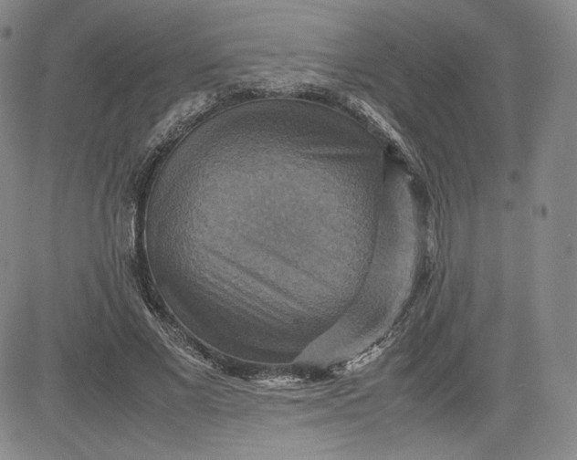 X0000080660685200612301336