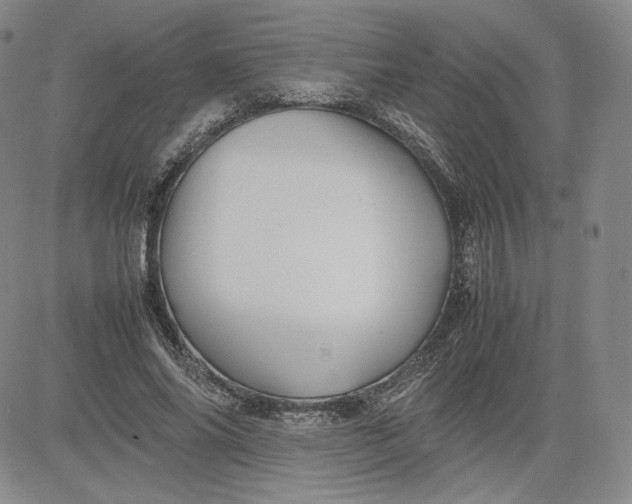 X0000080660686200612301336