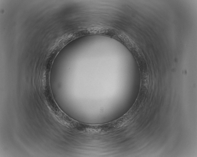 X0000080660690200612301336