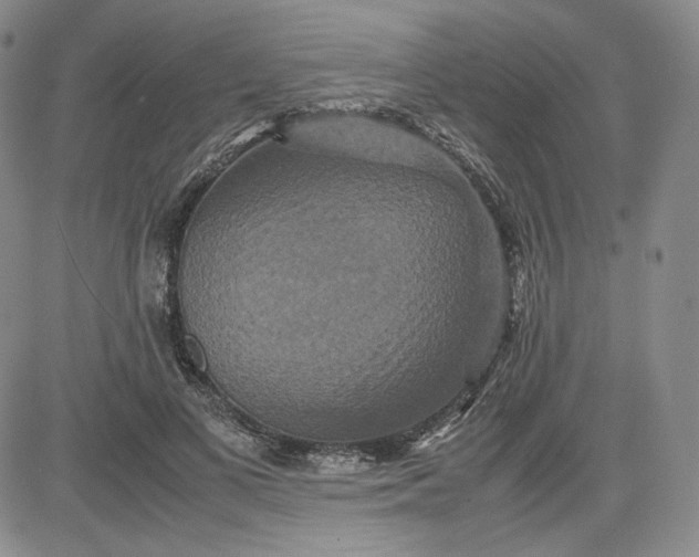 X0000080660693200612301336