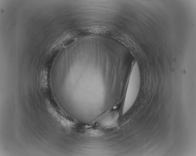 X0000080660696200612301335
