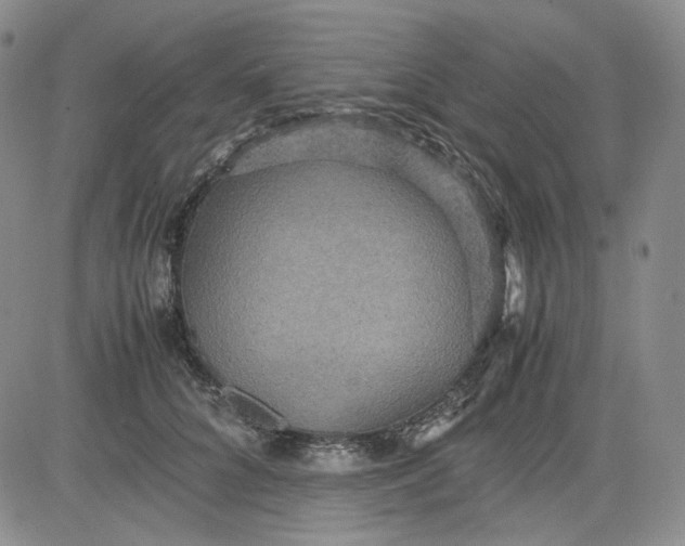 X0000080660704200612301335