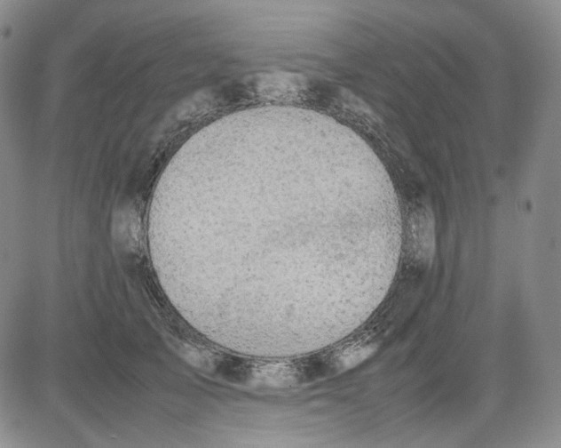 X0000080660705200612301335