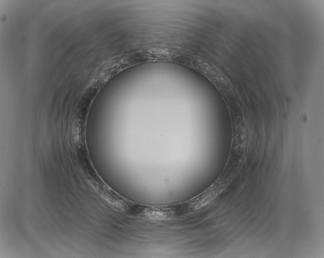 X0000080660706200612301335