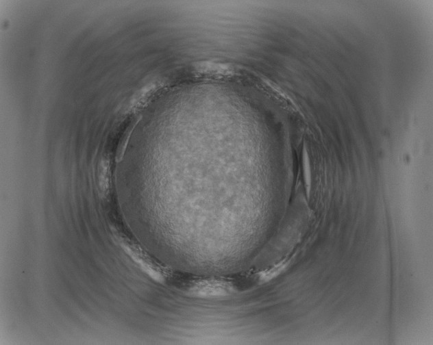 X0000080660708200612301335