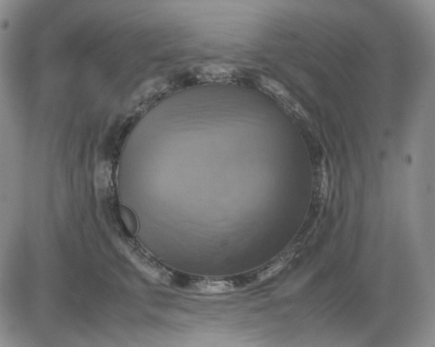 X0000080660711200612301335