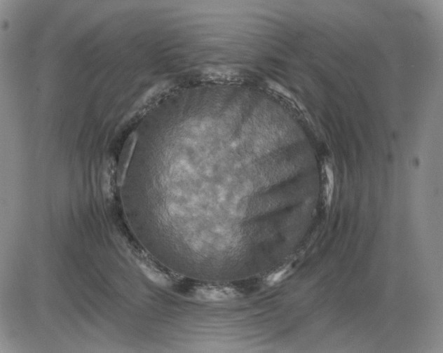 X0000080660712200612301335