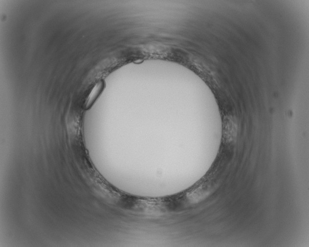 X0000080660713200612301335