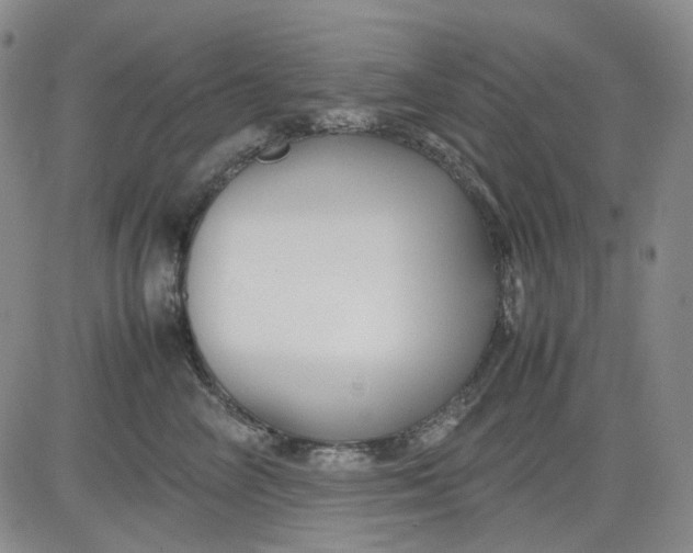 X0000080660714200612301335