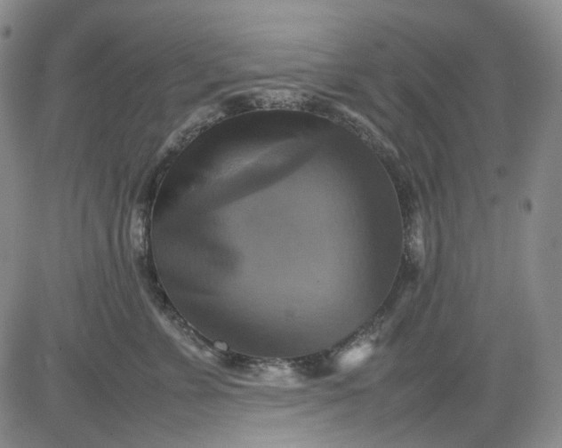 X0000080660715200612301335