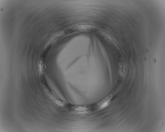 X0000080660718200612301335