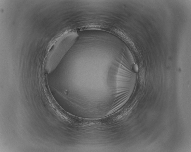 X0000080660721200612301334
