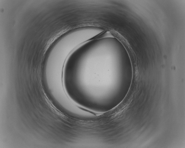 X0000080660725200612301334