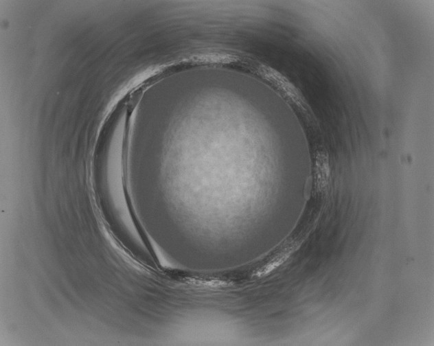 X0000080660726200612301334