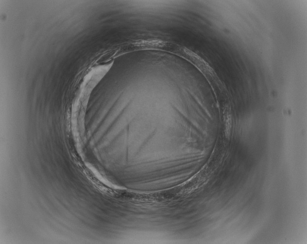 X0000080660729200612301334