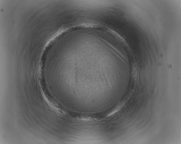 X0000080660730200612301334