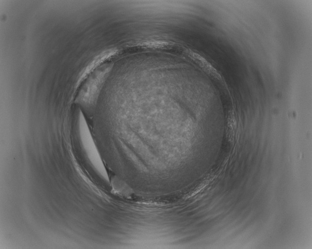 X0000080660734200612301335