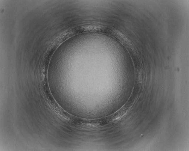 X0000080660737200612301335
