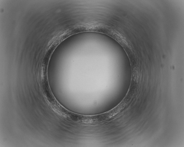X0000080660740200612301335