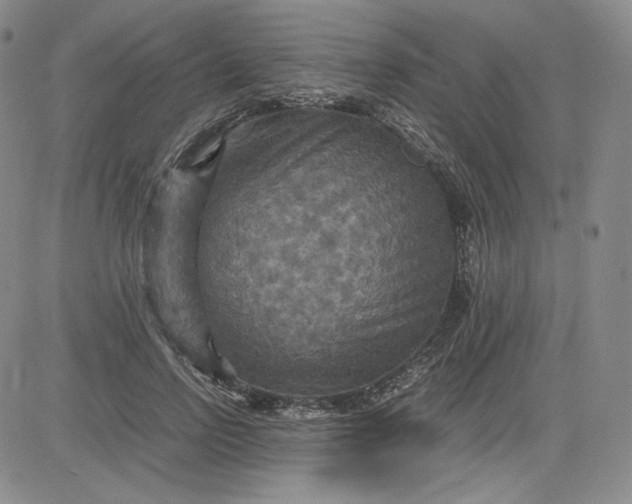 X0000080660742200612301335
