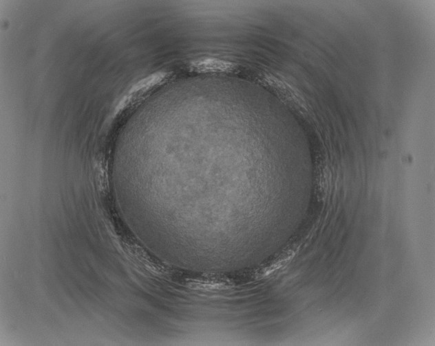 X0000080660743200612301335