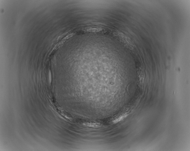 X0000080660745200612301335