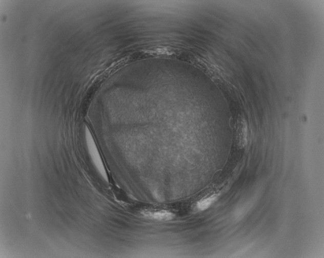 X0000080660747200612301335