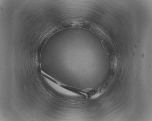 X0000080660748200612301335