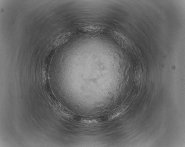 X0000080660749200612301335
