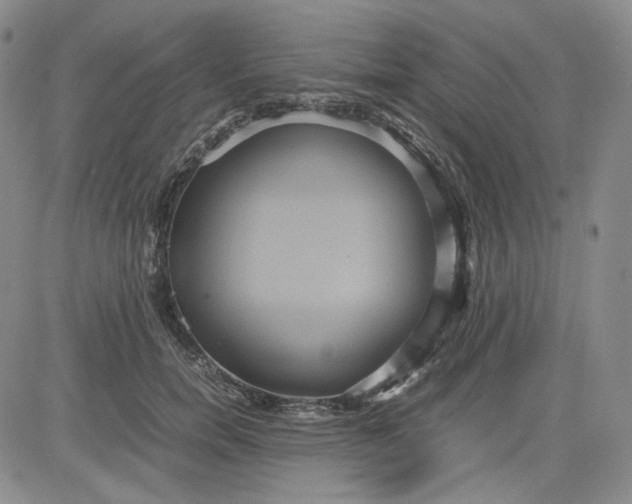 X0000080660750200612301335
