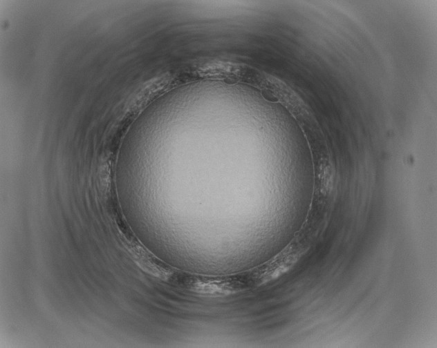 X0000080660753200612301335