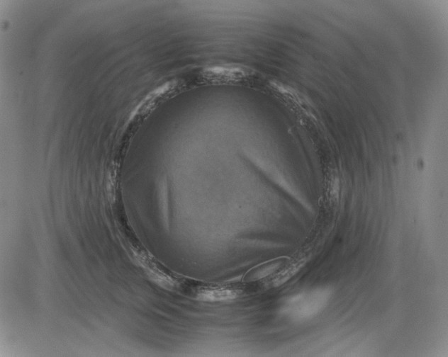 X0000080660759200612301335