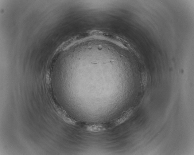 X0000080660761200612301335