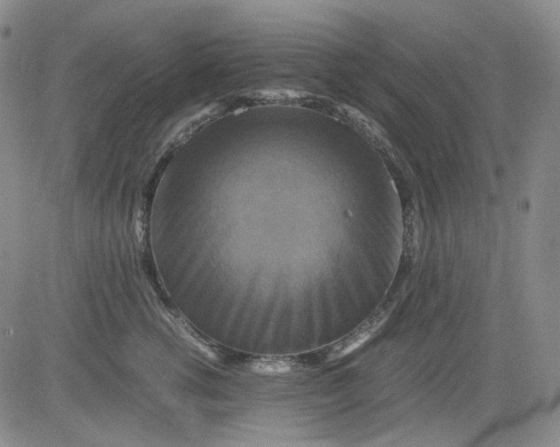 X0000080660762200612301335