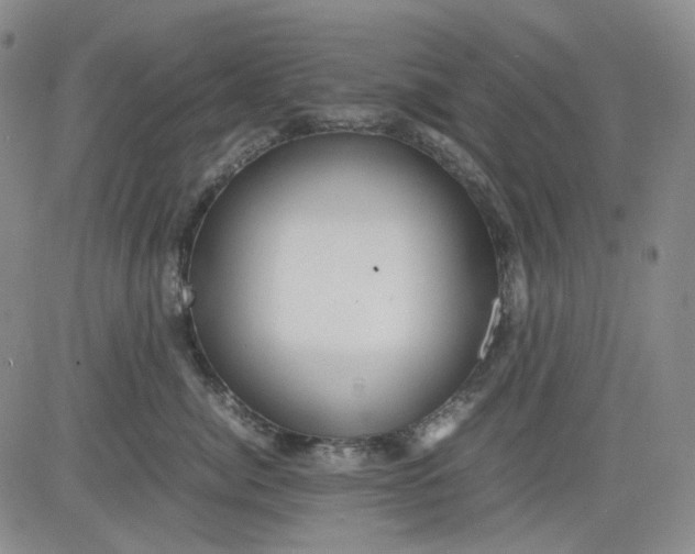 X0000080660764200612301335