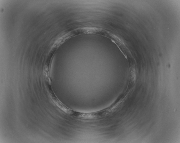 X0000080660766200612301335