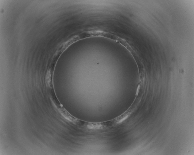 X0000080660767200612301335