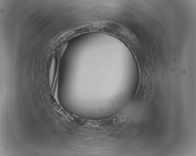 X0000080660773200612301334