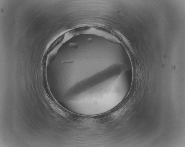X0000080660779200612301334